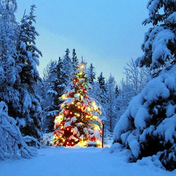 Пазл: Зимой в лесу