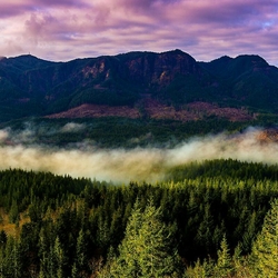 Пазл: Туман