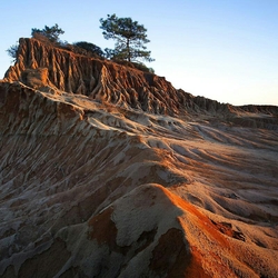 Пазл: Холмы