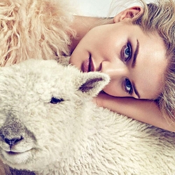 Пазл: Овечки