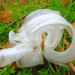 Пазл: Морозный цветок