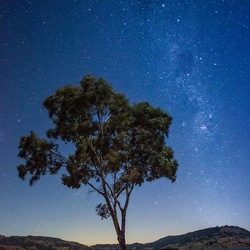 Пазл: Звёздное небо