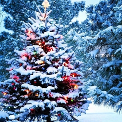 Пазл: Новогодняя ель