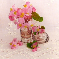 Пазл: Бегония на фоне шитья