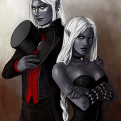 Пазл: Пара дроу на приеме