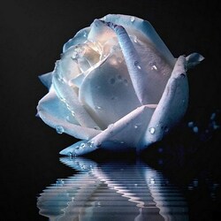 Пазл: Голубая мечта