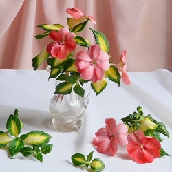 Пазл: Такой нежный бальзамин