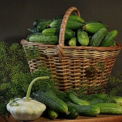 Пазл: Готовимся к засолке