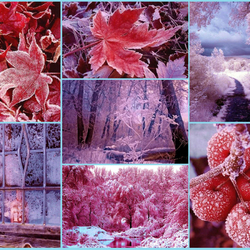 Пазл: Фантазии зимы