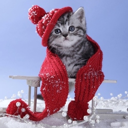 Пазл: Котенок