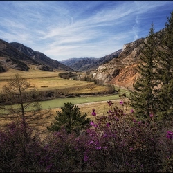 Пазл: Река Чуя в мае