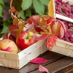 Пазл: Дары лета