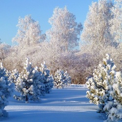 Пазл: Зимушка хрустальная
