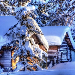 Пазл: У леса на опушке