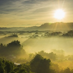 Пазл: Утренний туман