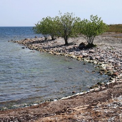 Пазл: Берег