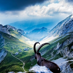 Пазл: Горные вершины