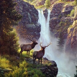 Пазл: У водопада