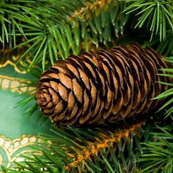 Пазл: Новогодняя хвойная веточка