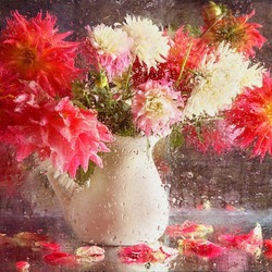 Пазл: Цветы и капли дождя