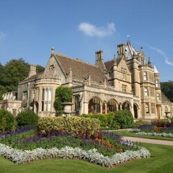 Пазл: Тайнтесфилд