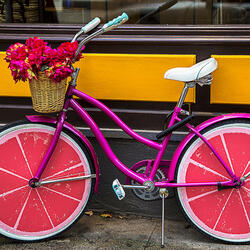 Пазл: Розовый велосипед