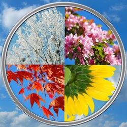 Пазл: Круговорот