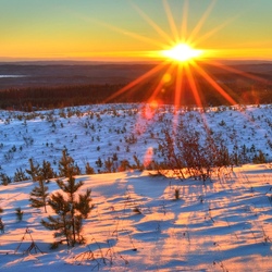 Пазл: Солнечный зимний день