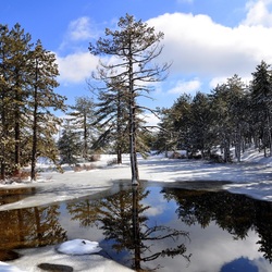 Пазл: Ледяные оковы