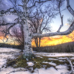 Пазл: Первый снег