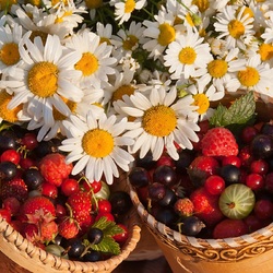 Пазл: Два туеска