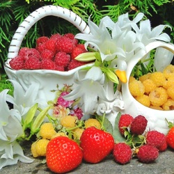 Пазл: Ягодный сезон