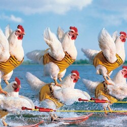 Пазл: Воднолыжницы