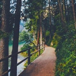 Пазл: Тропа троллей