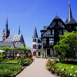 Пазл: Кидрих