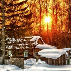 Пазл: Зимнее утро