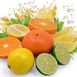 Пазл: Цитрусы