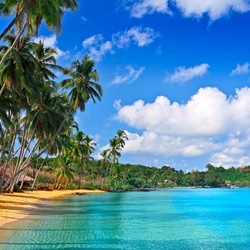 Пазл: Море, пляж