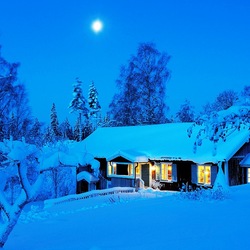 Пазл: Зимняя ночь