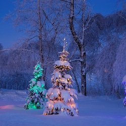 Пазл: Зимняя ночь