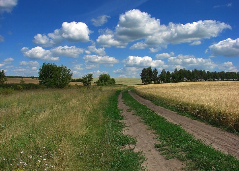 Картинка степь широкая