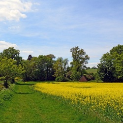 Пазл: Дорожка полевая