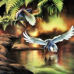 Пазл: Первобытная красота