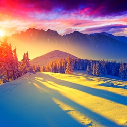 Пазл: Краски зимы