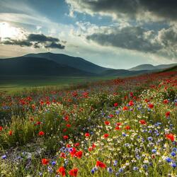 Пазл: Перед грозой